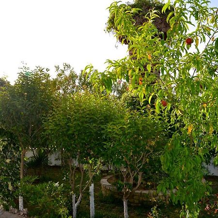 Kostas' Garden Apartamento Roda  Exterior foto